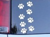 paws decal